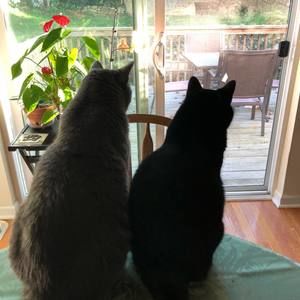 Meet your Posher, Janeth